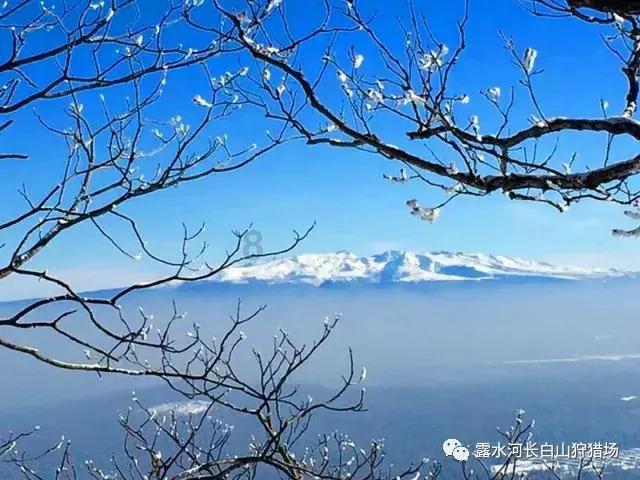 室友的矛盾